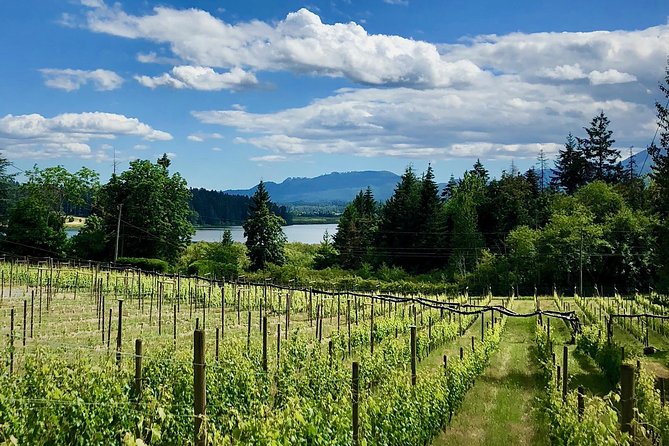 Cowichan Valley Premium Wine Tour - From Victoria to the Cowichan Valley by Tesla