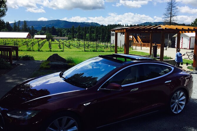 Cowichan Valley Premium Wine Tour - Alderlea, Emandare, Rocky Creek, and Venturi-Schulze