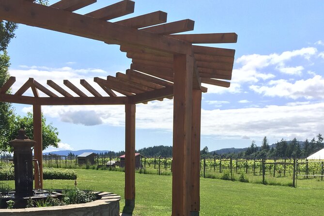 Cowichan Valley Premium Wine Tour - A gourmet charcuterie lunch in the middle of the day