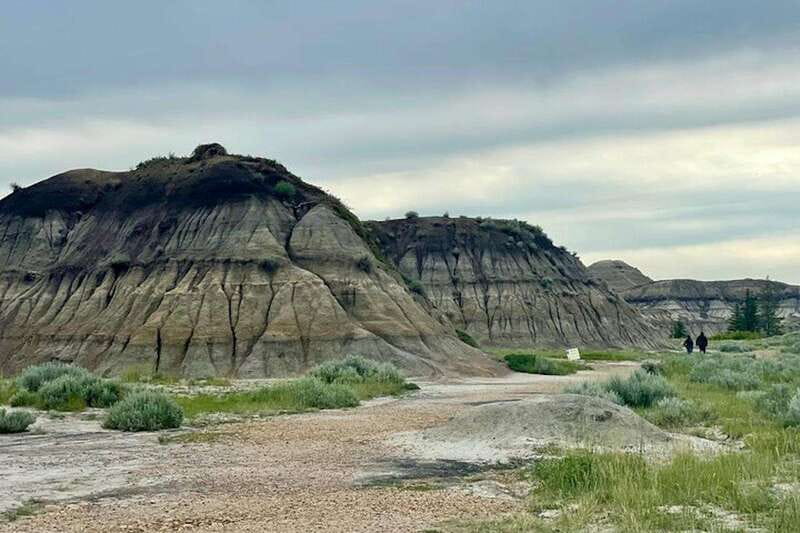 Day of Dinosaurs and Hoodoos From Calgary to the Badlands - The guides make the long drive easier