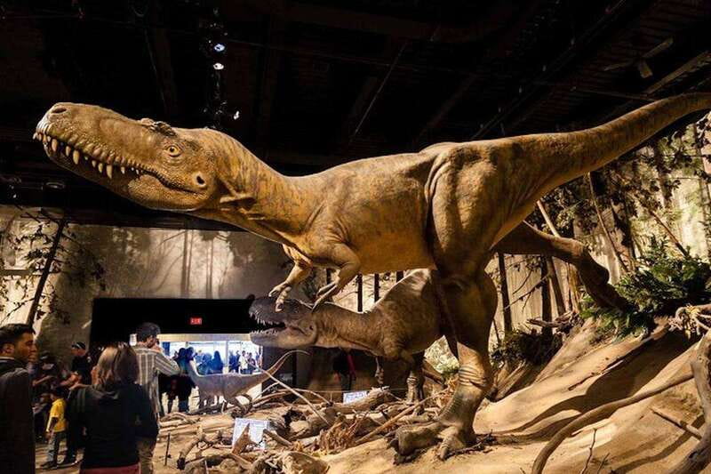 Day of Dinosaurs and Hoodoos From Calgary to the Badlands - Why this day trip works so well