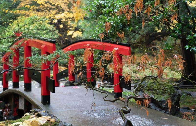 Day Trip from Vancouver to Victoria and Butchart Gardens - Chinatown and the short city walk