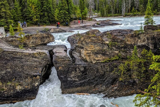 Day Trip: Lake Louise, Moraine Lake, Emerald Lake, Banff - Lake Louise gives you the most time at a famous Canadian view