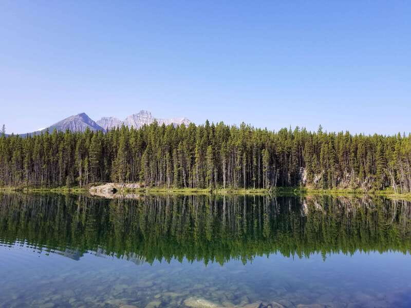 Deep Day Tour to Peyto, Moraine, Louise Lakes, J. Canyon... - Lake Louise brings a different kind of beauty