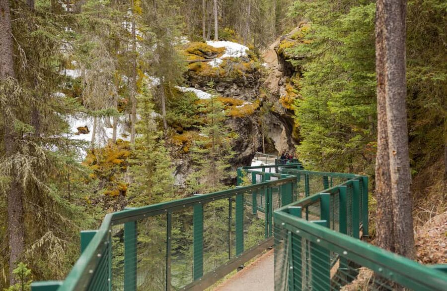 Deep Day Tour to Peyto, Moraine, Louise Lakes, J. Canyon... - Johnston Canyon adds a proper walk