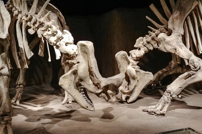 Dinosaurs, Canyons & Ghost Towns: Ultimate Drumheller Day Tour - Horseshoe Canyon: an active start to the day