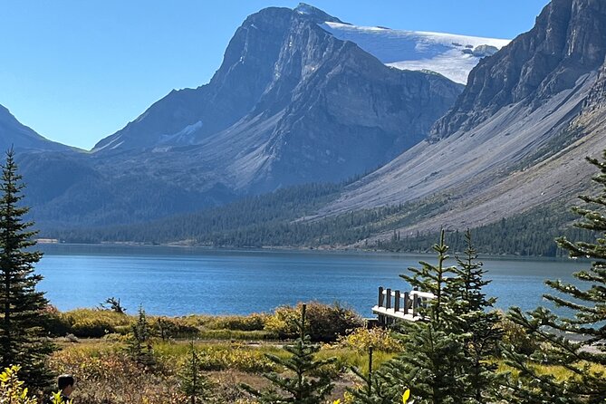 Discover 9 Iconic Banff Sights in a Day! with extra Comfort-12pax - Bow Lake and Peyto Lake along the Icefields Parkway