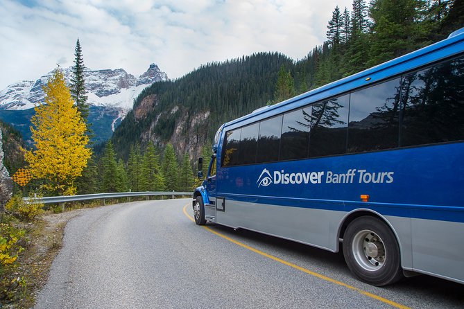Discover Grizzly Bears from Banff - Emerald Lake in a short 20-minute stop