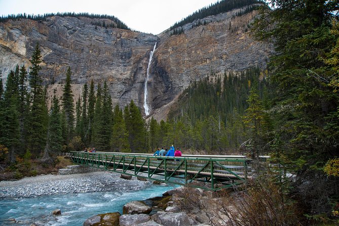 Discover Grizzly Bears from Banff - Why the combination works, and where it feels rushed