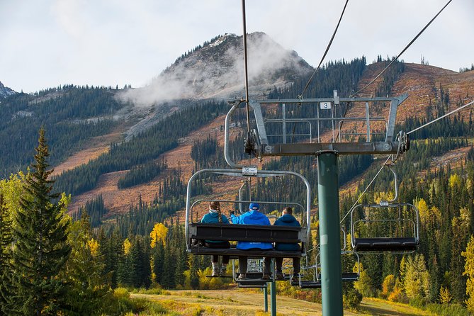 Discover Grizzly Bears from Banff - Kicking Horse Mountain and the open chairlift