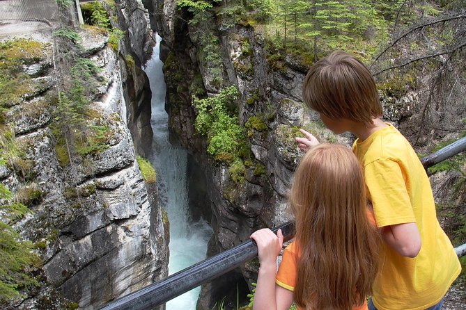 Discover Jasper and its Wildlife - Why the guide matters more than the route