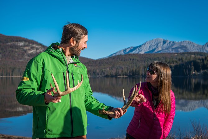 Discover Jasper and its Wildlife - Animals you might see, from elk to grizzlies