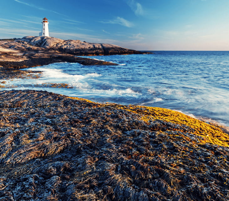 Discover Peggy's Cove: Private Journey from Halifax - The 45-minute road from Halifax to the cove