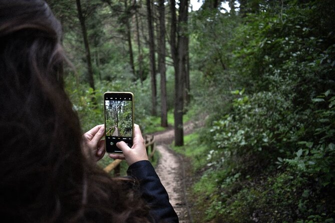 Discover the Lake Agnes Tea House Trail with an Audio Nature Tour - The final stairs to Lake Agnes Tea House