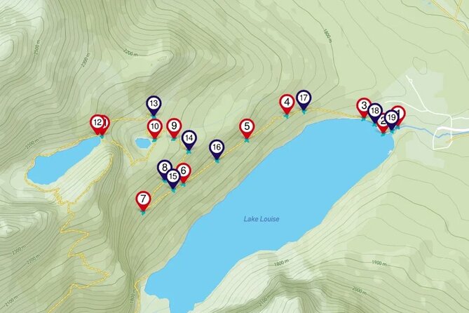 Discover the Lake Agnes Tea House Trail with an Audio Nature Tour - Forest, wildlife, and the boreal biome
