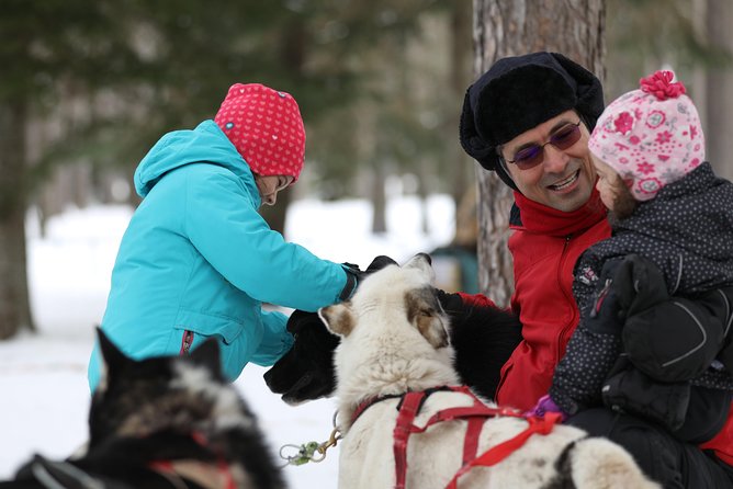 Dogsled Diable Adventure in Mont-Tremblant - Is $233.91 a fair price?