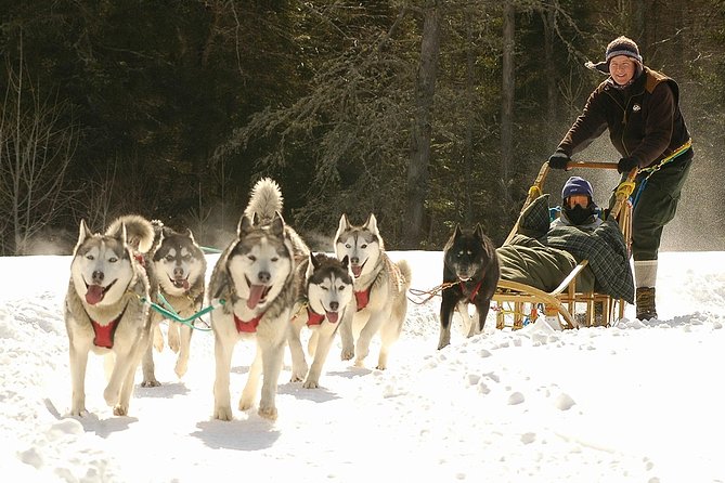 Dogsled Diable Adventure in Mont-Tremblant - About an hour on the snowy valley trails