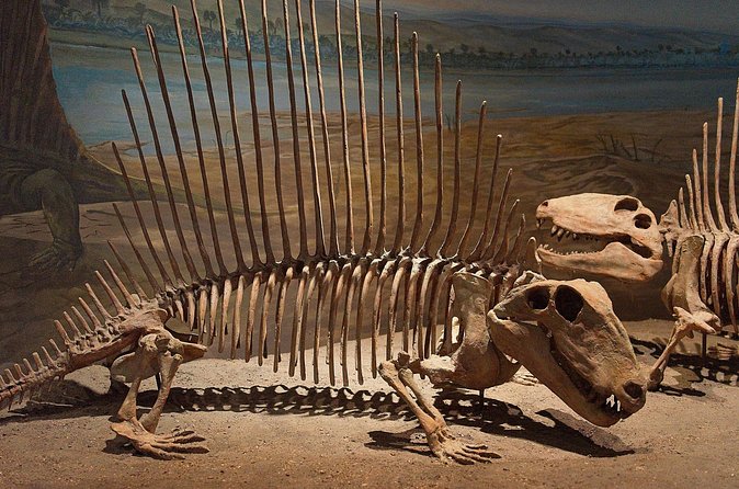Drumheller and Badlands Full-Day Tour with a Small Group - Weather, clothing, and physical effort