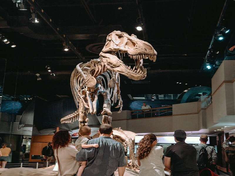 Drumheller: Bad Land & Dinosaur Museum Tour from Calgary - Drumheller Visitor Information Centre and Dinosaur Valley