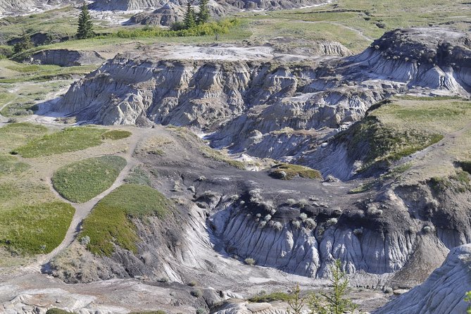 Drumheller Dinosaur Valley & Horseshoe Canyon Adventure Day Tour - The Royal Tyrrell Museum deserves your best attention