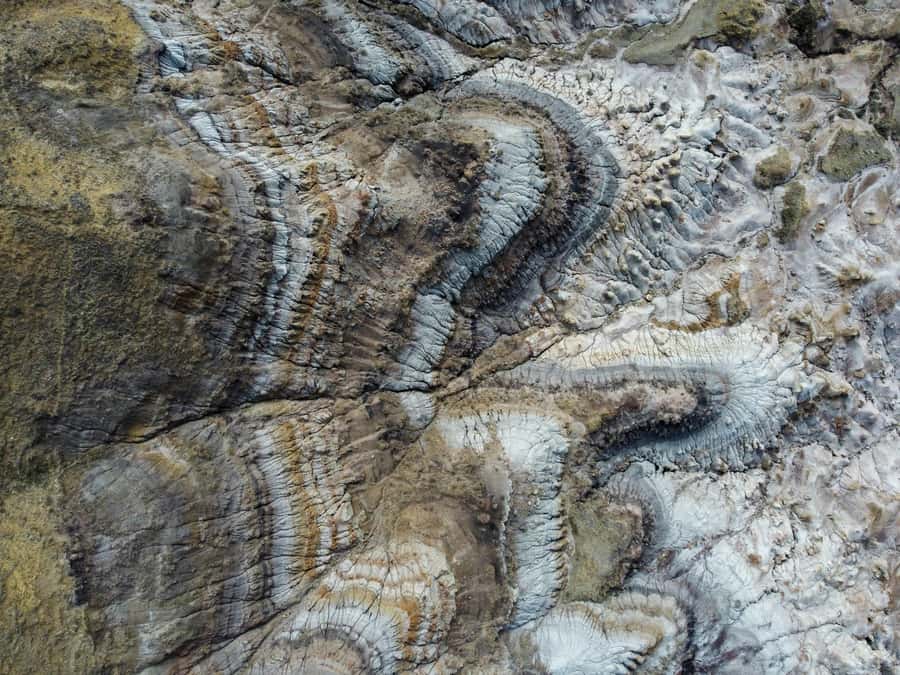 Drumheller: Dinosaurs, Canyons, & Hoodoos Day Tour - Lunch is simple, so plan ahead