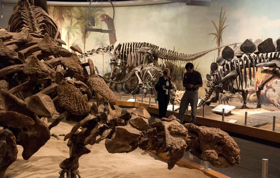 Drumheller: Dinosaurs, Canyons, & Hoodoos Day Tour - The Hoodoos Trail shows erosion at its best