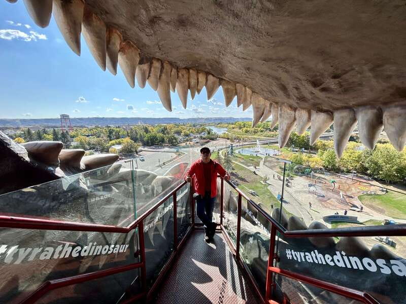 Drumheller Full-day Private Sightseeing Tour - Why Drumheller makes such a good day trip from Calgary