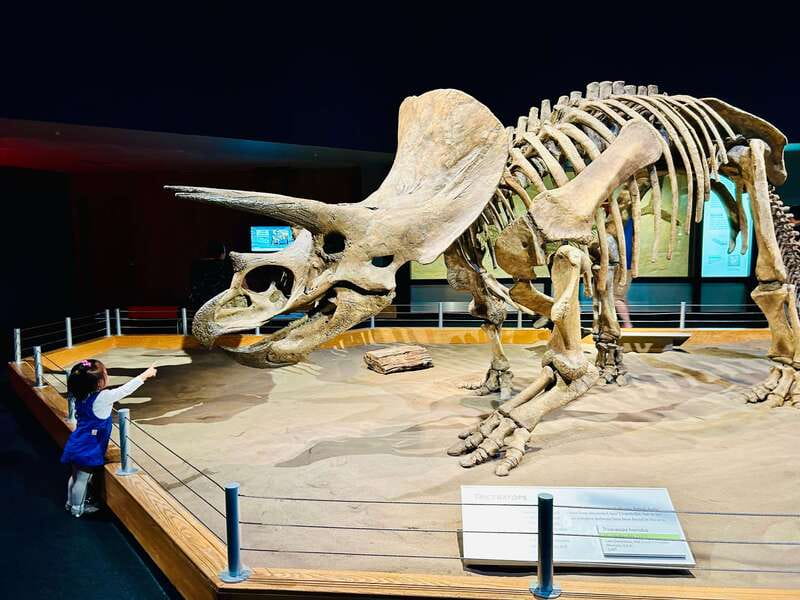 Drumheller Full-day Private Sightseeing Tour - The World’s Largest Dinosaur in 45 minutes