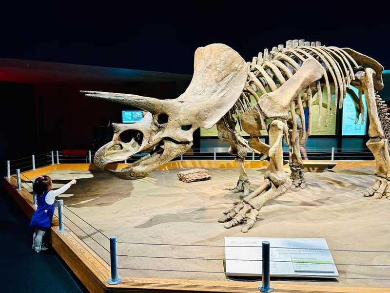 Drumheller Full-day Private Sightseeing Tour - Two hours at the Royal Tyrrell Museum