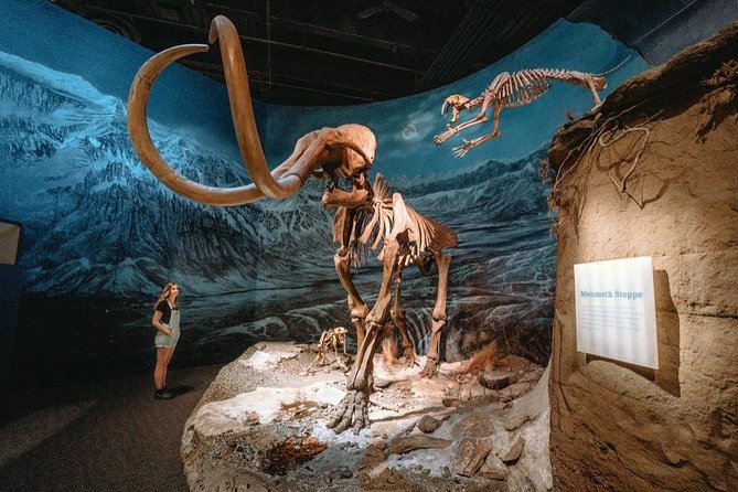Drumheller: Royal Tyrrell Museum, Hoodoos and Horseshoe Canyon - Key points to know before booking