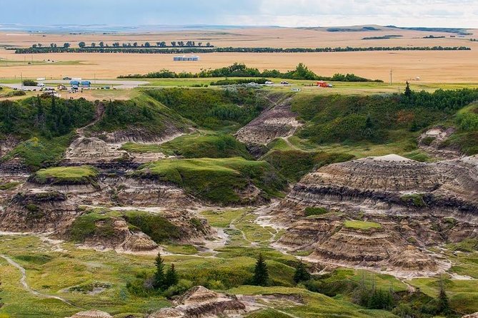 Drumheller: Royal Tyrrell Museum, Hoodoos and Horseshoe Canyon - A quick look at Tyra the dinosaur