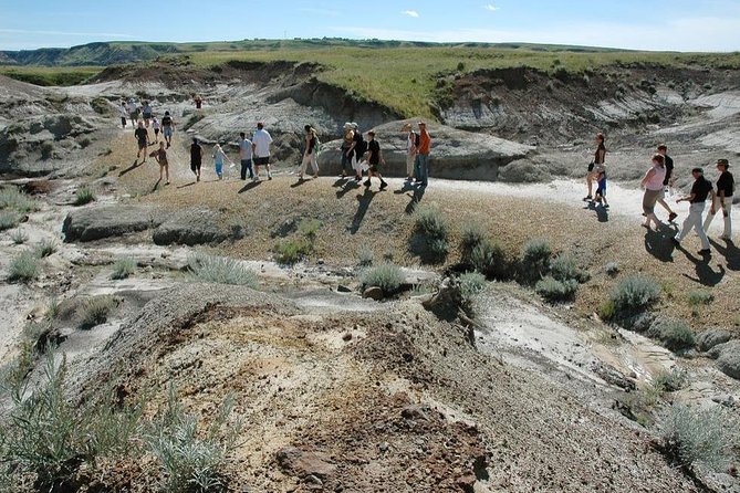 Drumheller: Royal Tyrrell Museum, Hoodoos and Horseshoe Canyon - Who will enjoy this Drumheller day trip