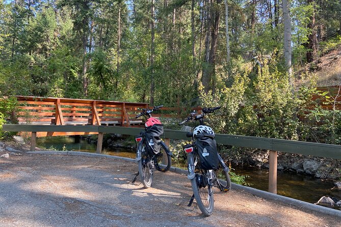 E-Bike Salmon Adventure - Why the Kokanee salmon run is the reason to go
