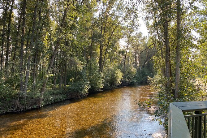 E-Bike Salmon Adventure - Mission Creek Regional Park and the salmon viewing