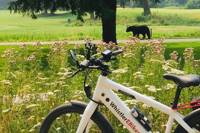 eBike Adventure in Whistler - Why an e-bike is a smart way to see Whistler