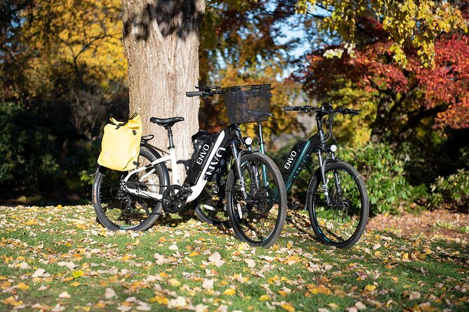 eBike Rentals in Kelowna - Who will get the most from this rental