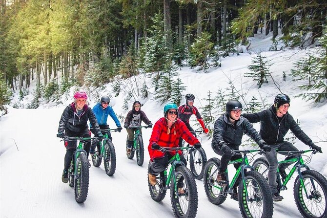 Electric Fat Biking Adventure in Banff | Small Group Adventure - Fenland Trail, an easy introduction to the woods
