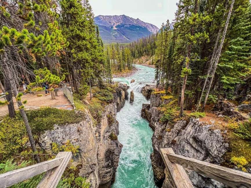 Emerald Lake, Lake Louise, Johnston Lake & Banff Gondola - One day, many of the Rockies’ best-known sights