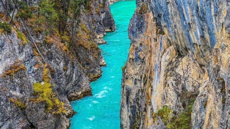 Emerald Lake, Moraine, Louise, Johnston Canyon & Banff Town - Key points to know before booking