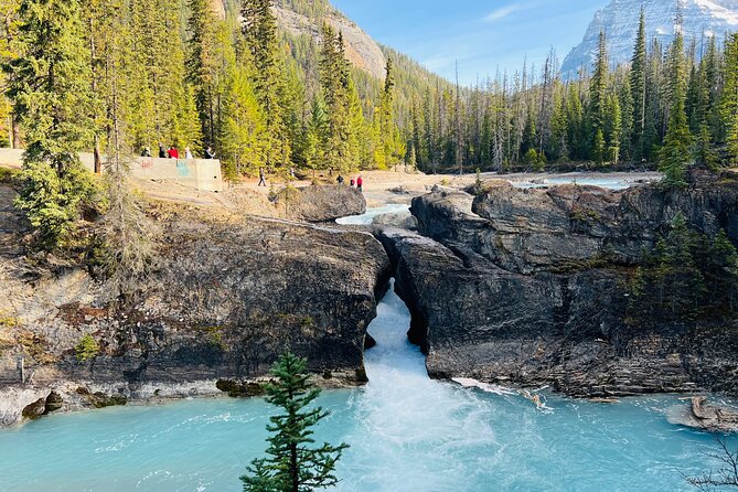 Emerald Lake,Natural Bridge, Wapta Falls & Takakkaw Falls in Yoho - Key points to know before booking