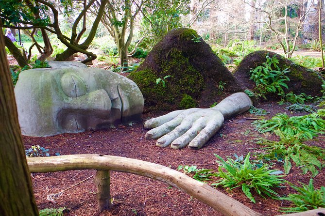 Essence of Victoria: Private Tour of Nature, History & Coast - Why this private Victoria tour works well