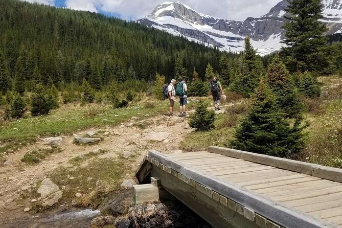 Exclusive Skoki Backcountry Guided Hiking in Lake Louise with Van Shuttle - Hiking through meadows, forests, lakes, and passes