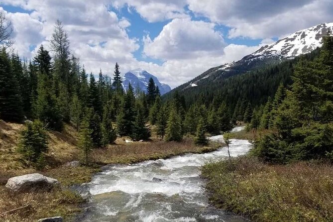 Exclusive Skoki Backcountry Guided Hiking in Lake Louise with Van Shuttle - What the guide adds to a remote trail