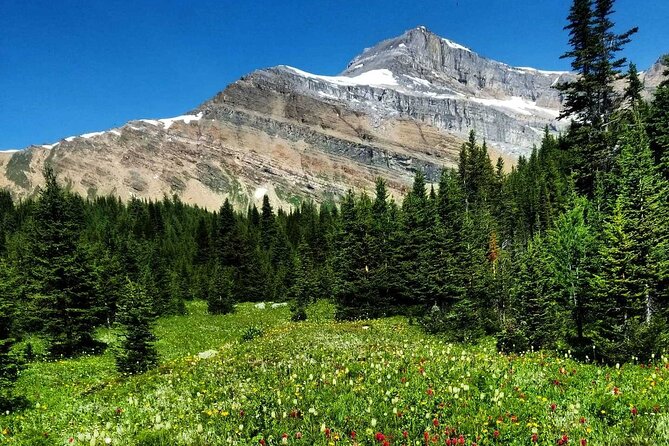 Exclusive Skoki Backcountry Guided Hiking in Lake Louise with Van Shuttle - Weather, clothing, and physical demands