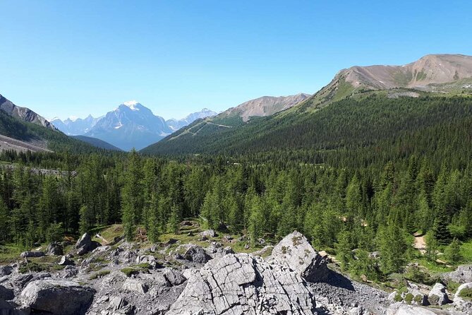 Exclusive Skoki Backcountry Guided Hiking in Lake Louise with Van Shuttle - Starting in Banff at 8:20 am