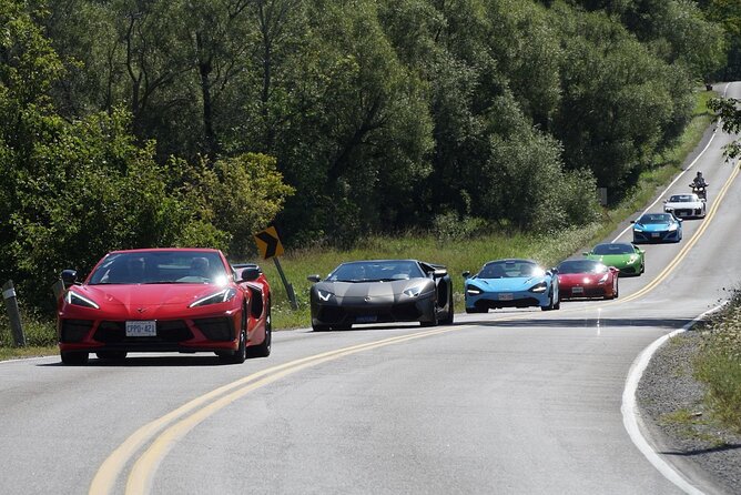 Exotic or Supercar Test Drive on Hamilton Mountain - Who will enjoy this most