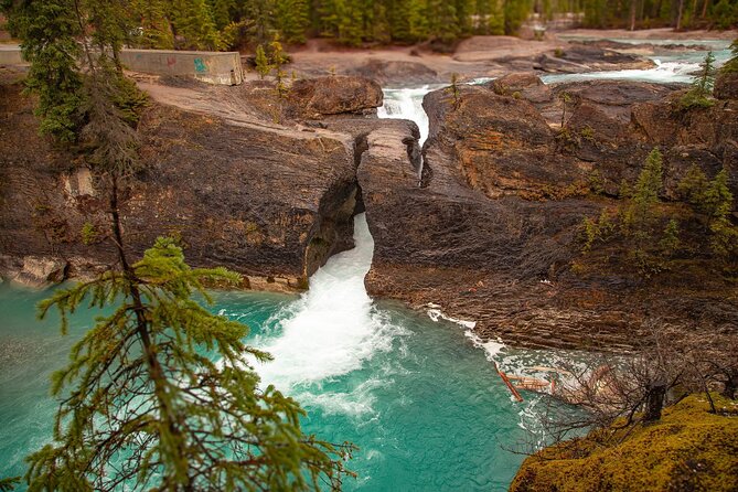 Explore 3 National Parks - Exclusive Small Group Tour - Takakkaw Falls delivers the day’s biggest drama