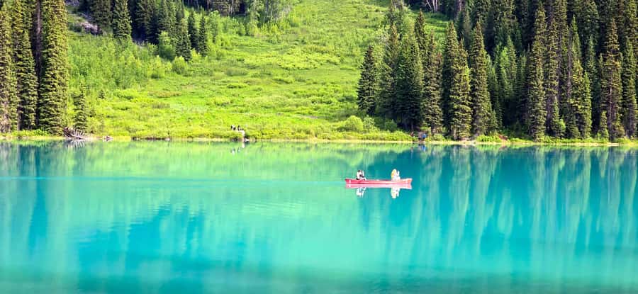 Explore 9 Iconic Banff Spots in 1 Epic Day!(Pax 12/Group) - Key points to know before booking