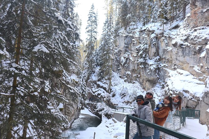 Explore Banff National Park with Our Premium Day Tour - Johnston Canyon and winter mountain scenery