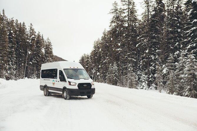 Explore Banff + Wildlife - A smart first look at Banff in three to four hours